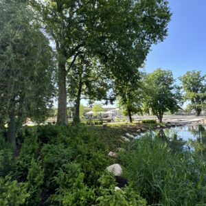 0B08DF37-7F73-49C8-8F38-E7C88FECE054_1_105_c