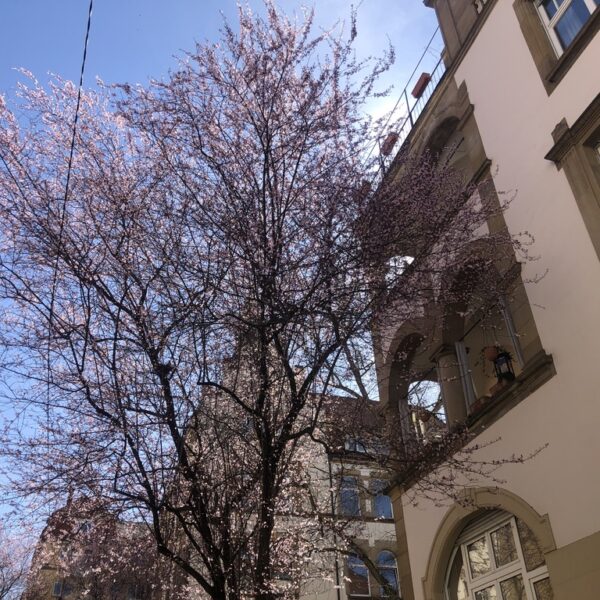 5342A765-30F4-4ECF-8C7D-718ED48BEFB7_1_105_c