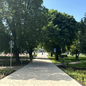 A3C7A86F-83ED-4B95-9257-C05BA1E008CB_1_105_c