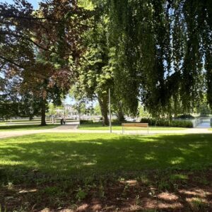 EB99AF1E-E1F3-4441-959F-CE95CC12EC6B_1_105_c