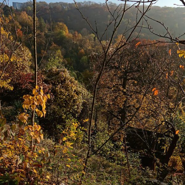 aussichtsreich_galerie_04