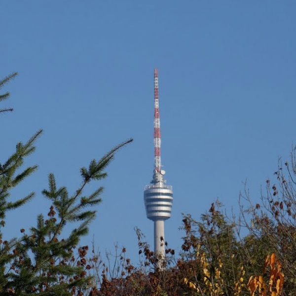 aussichtsreich_galerie_05