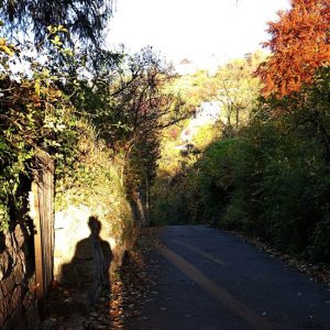 faule_saecke_galerie_01