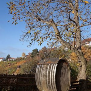 faule_saecke_galerie_02