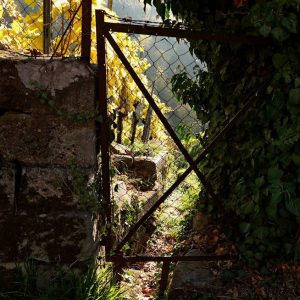 faule_saecke_galerie_03