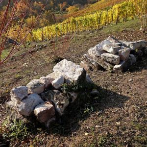 faule_saecke_galerie_04