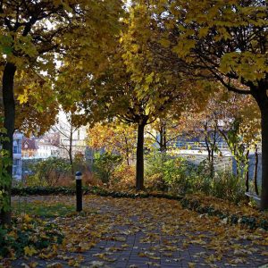 faule_saecke_galerie_07