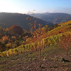 faule_saecke_galerie_13