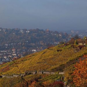 faule_saecke_galerie_15