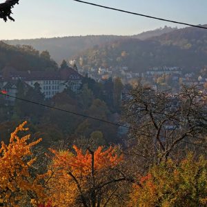 faule_saecke_galerie_16