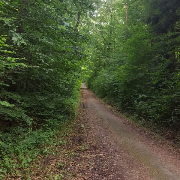 fernsehturm_galerie_01