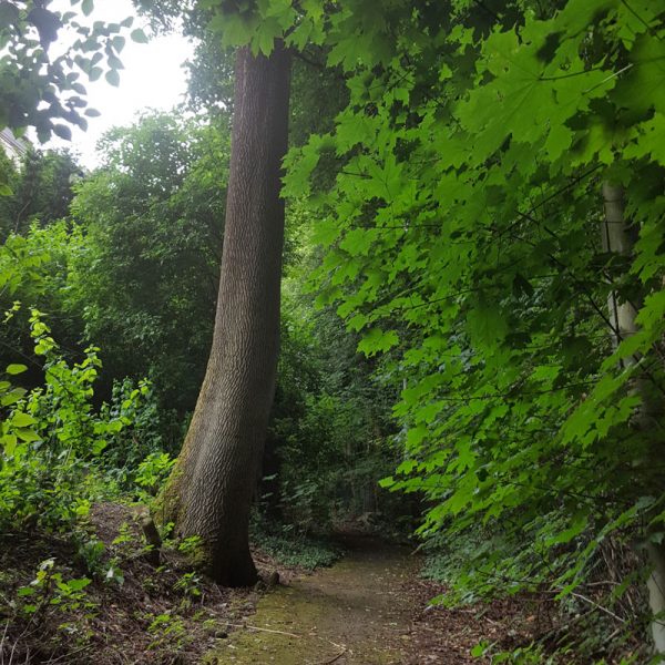 fernsehturm_galerie_11