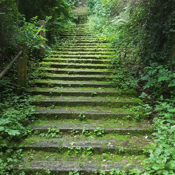 fernsehturm_galerie_14