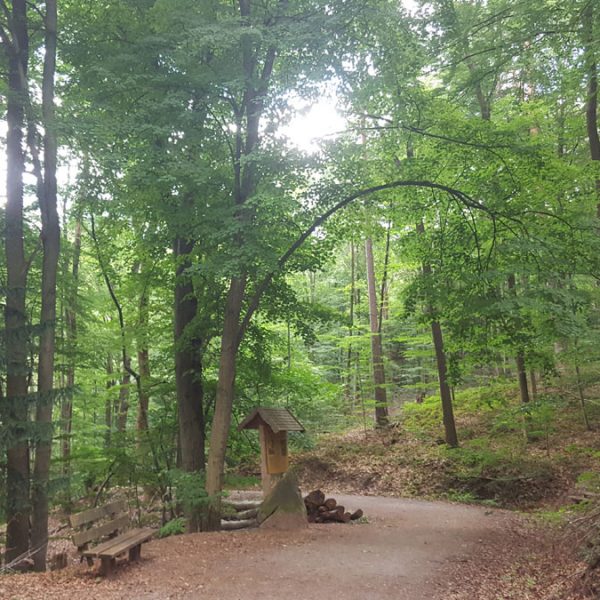 fernsehturm_galerie_16