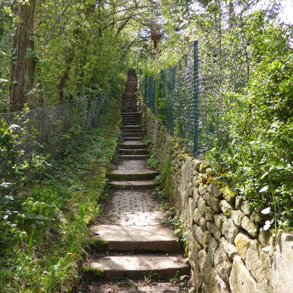 gaisburger_galerie_04