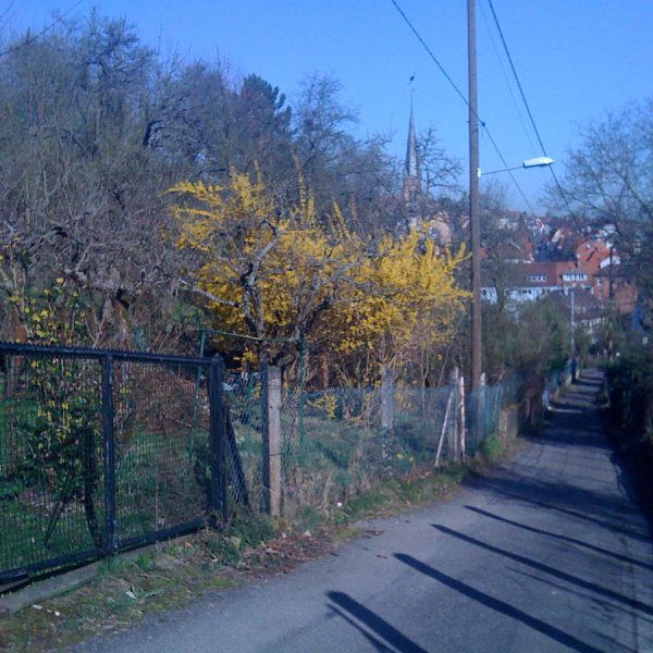 gaisburger_galerie_29