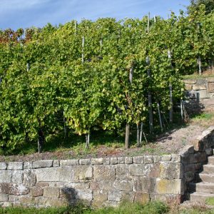 gruppe_stuttgart_erlebnis_gal_03