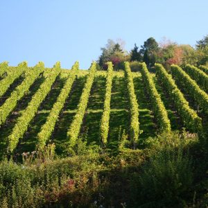 gruppe_stuttgart_erlebnis_gal_05