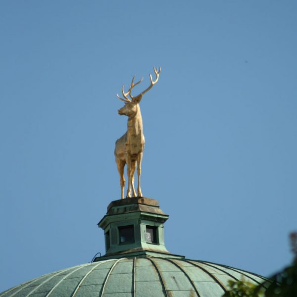 kinder_stuttgart_geo_gal_01