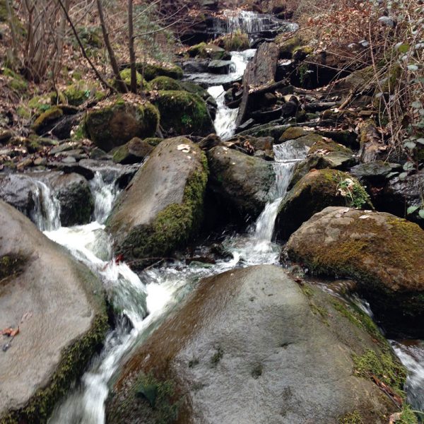 stadt_stuttgart_brunnen_gal_02