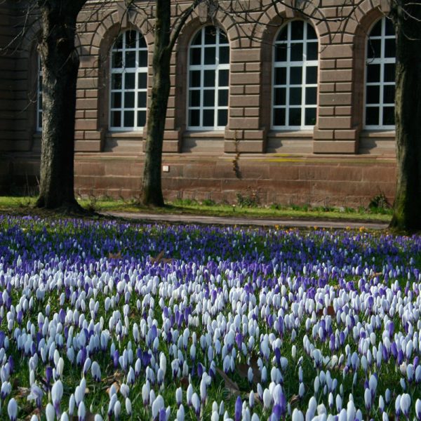 stadt_stuttgart_klassisch_galerie_05