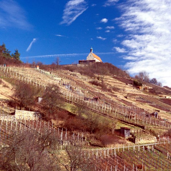 stadt_tuebingen_literatur_gal_01