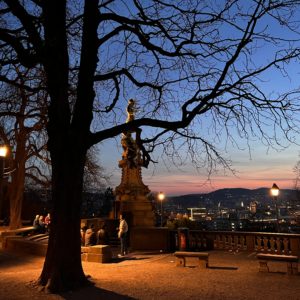 IMG_0366