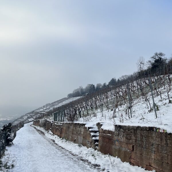 23209C1B-52F1-4399-AE39-843FB2EA0457_1_105_c