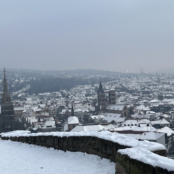 A6189072-014E-4FFA-A088-0AEBB3EFA374_1_105_c