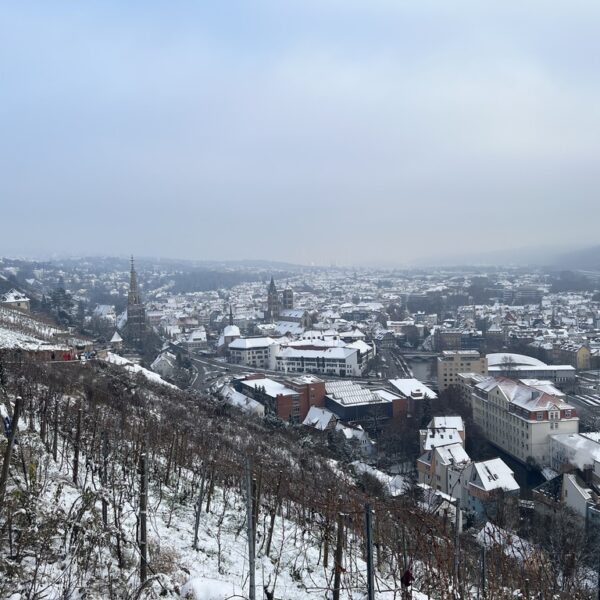 E2030894-5533-4545-881C-C13D0D541BAF_1_105_c