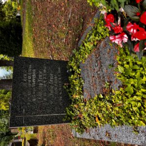 IMG_0571