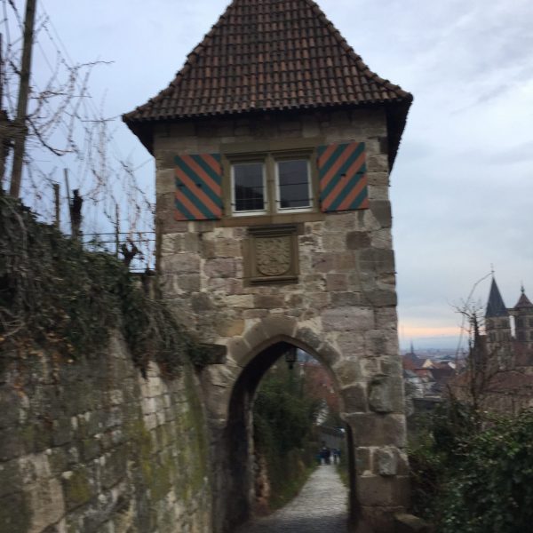 IMG_4167-e1593689058658