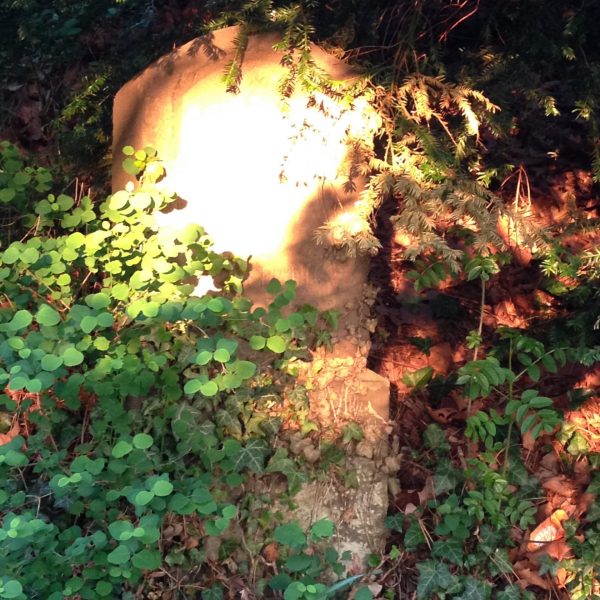 Suednderstein-an-der-Suenderstaffel